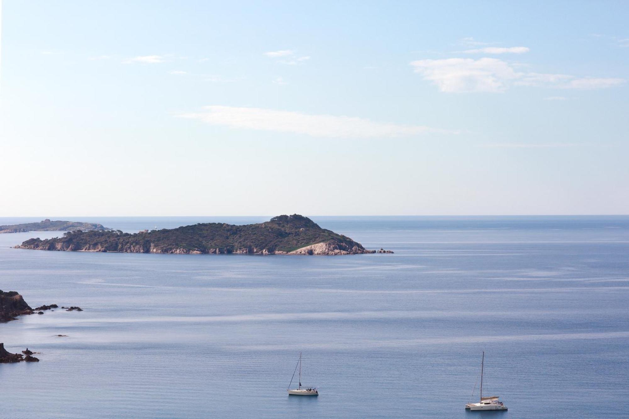 Le Provencal Renove En 2025 - Bord De 3* Hyeres