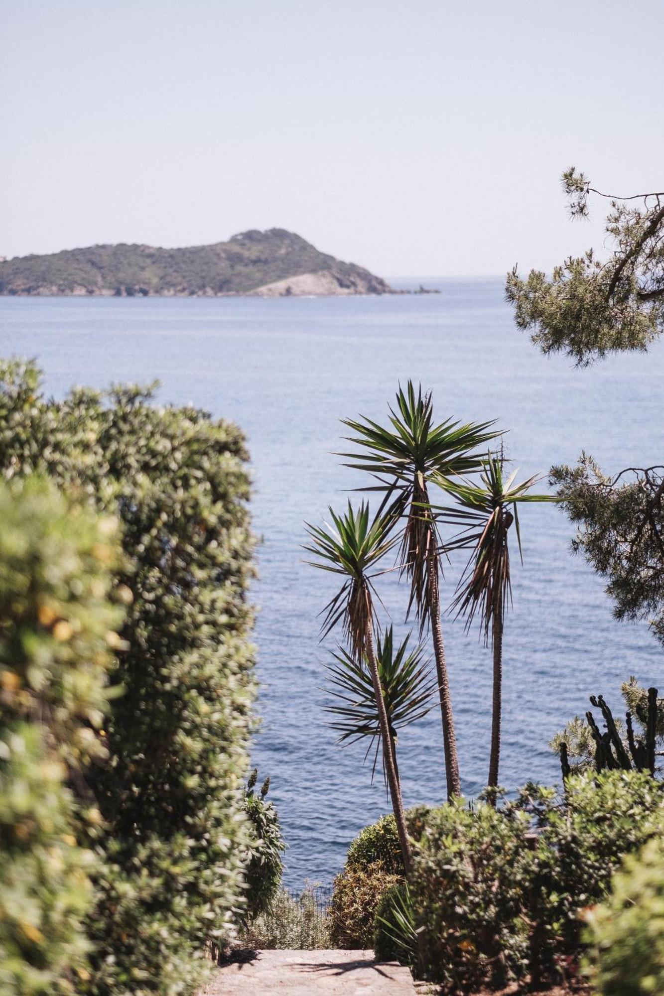 Le Provencal Renove En 2025 - Bord De Hotel Hyeres