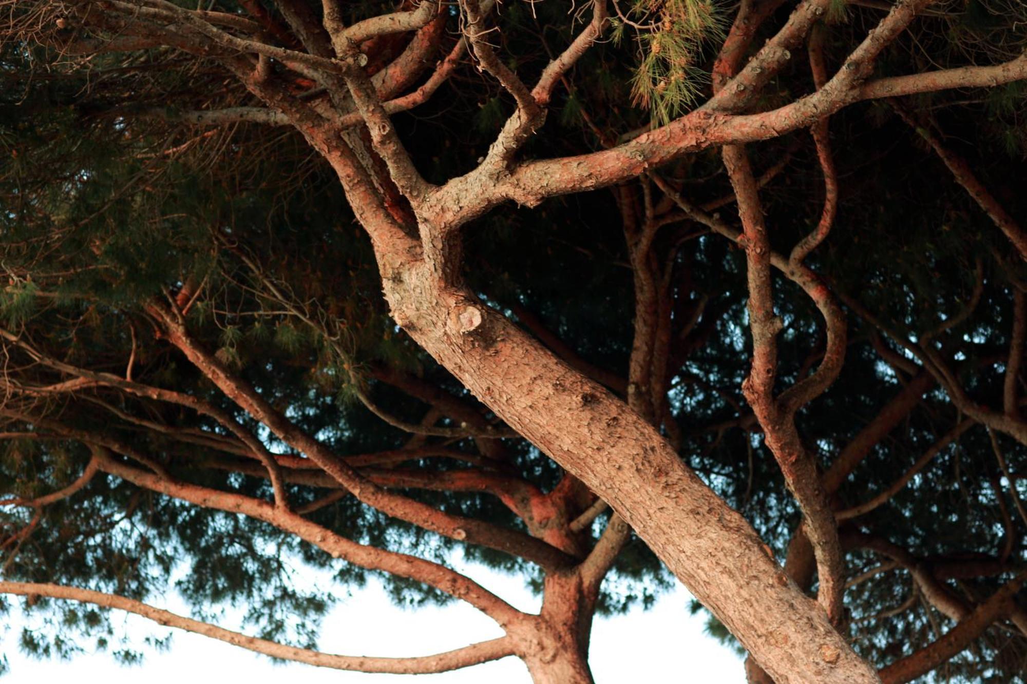 Le Provencal Renove En 2025 - Bord De