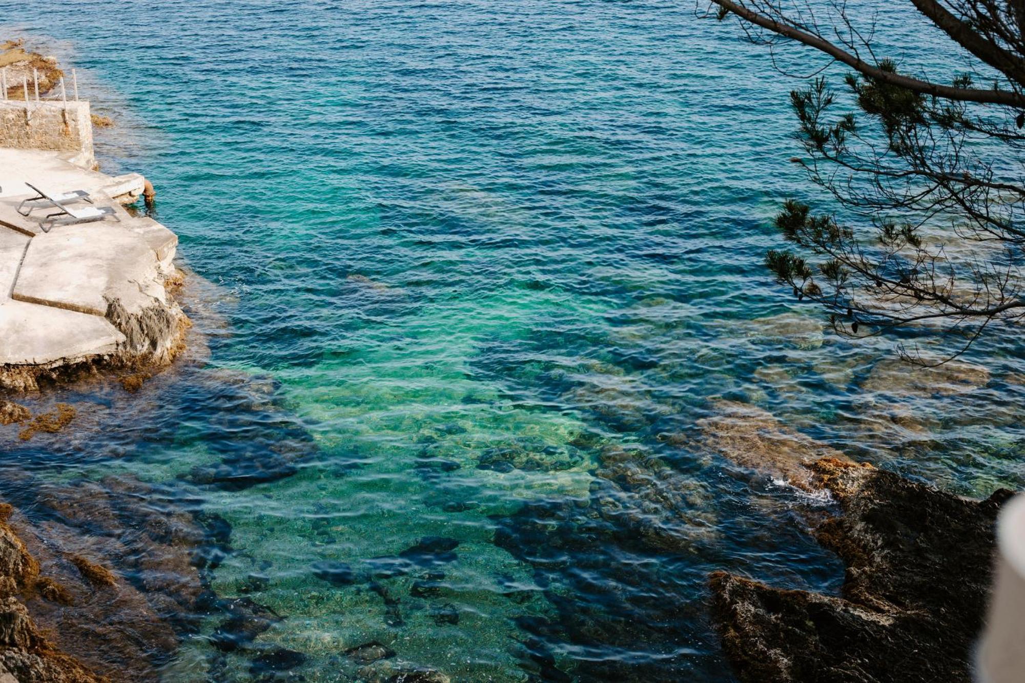 Le Provencal Renove En 2025 - Bord De Hyeres