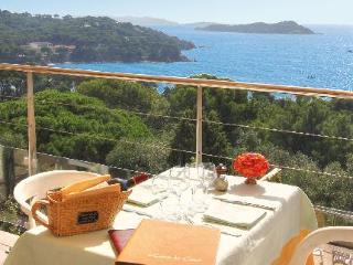 Hotel Le Provençal Hyères